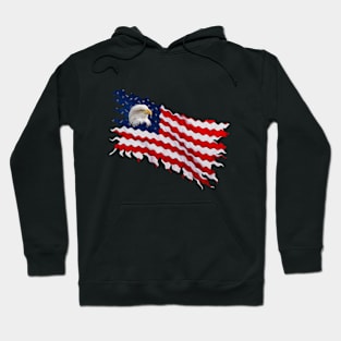 USA Flag - Independence Day Hoodie